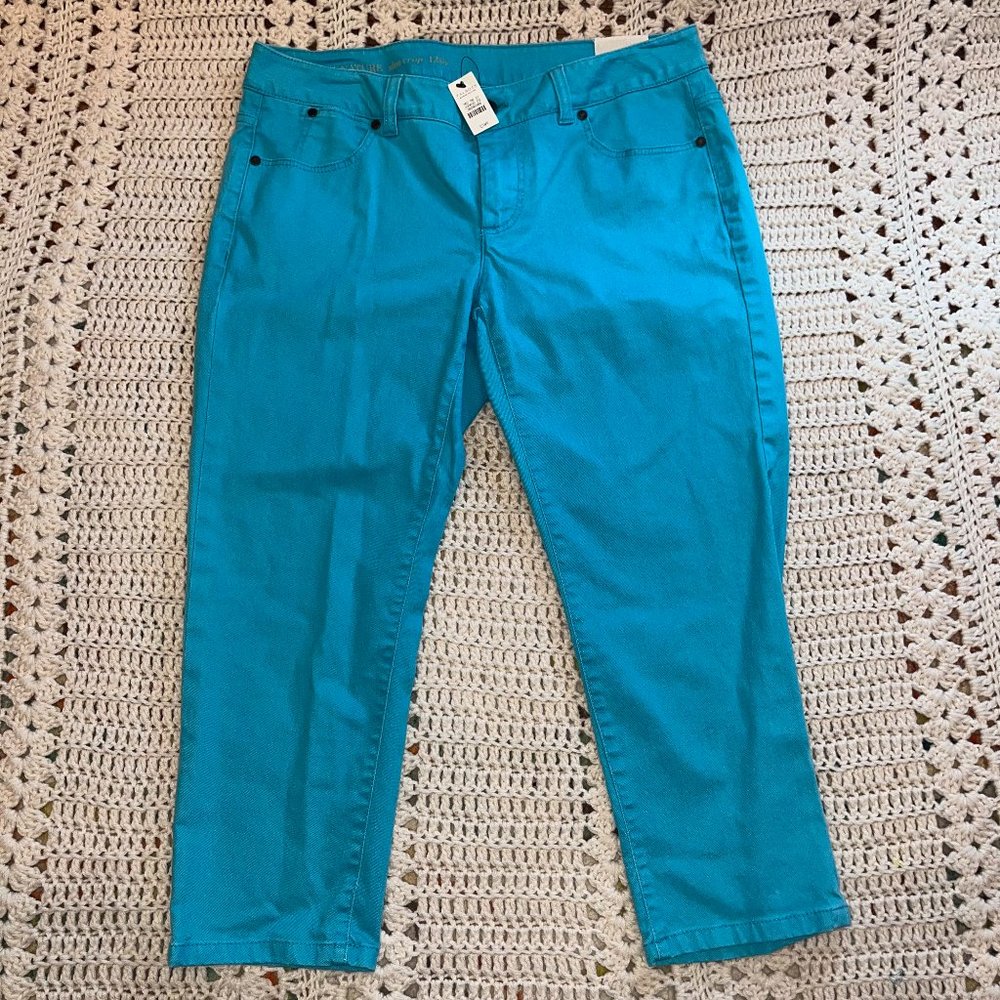 Talbots Signature Slim Crop Aqua Blue Denim Jeans Sz 12 Woman(Plus) Petite - New